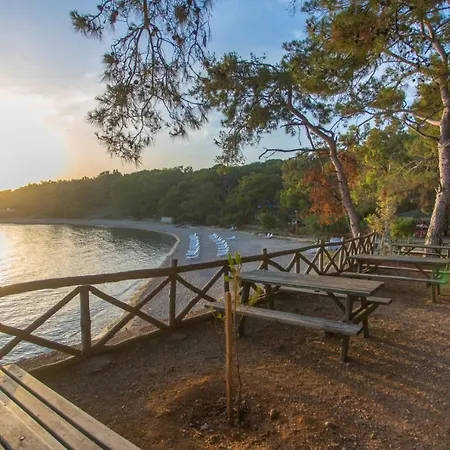 Forest Park Апартаменты Авсаллар